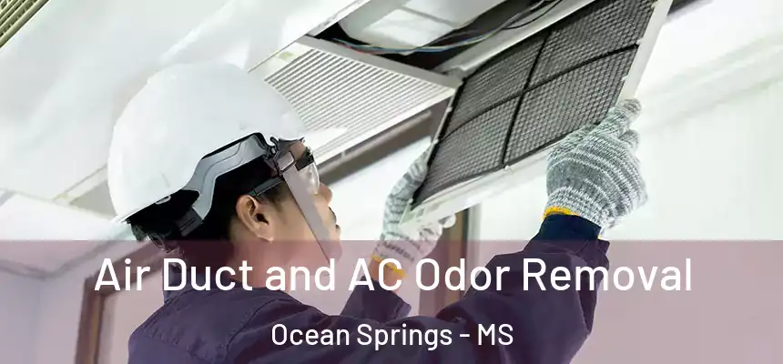 Air Duct and AC Odor Removal Ocean Springs - MS