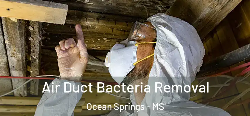 Air Duct Bacteria Removal Ocean Springs - MS