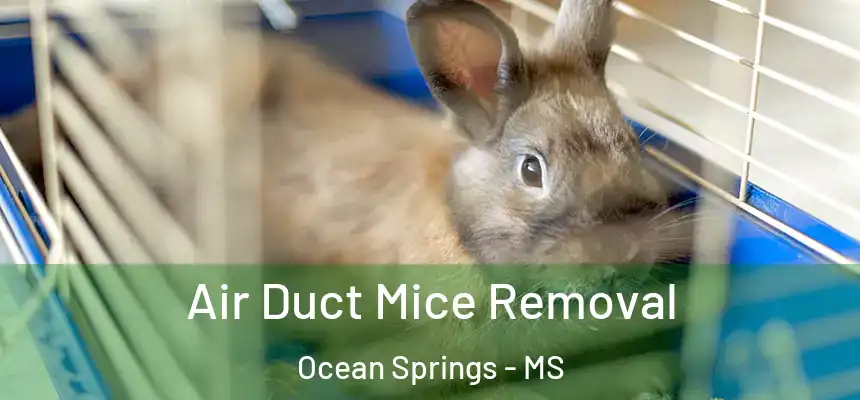 Air Duct Mice Removal Ocean Springs - MS