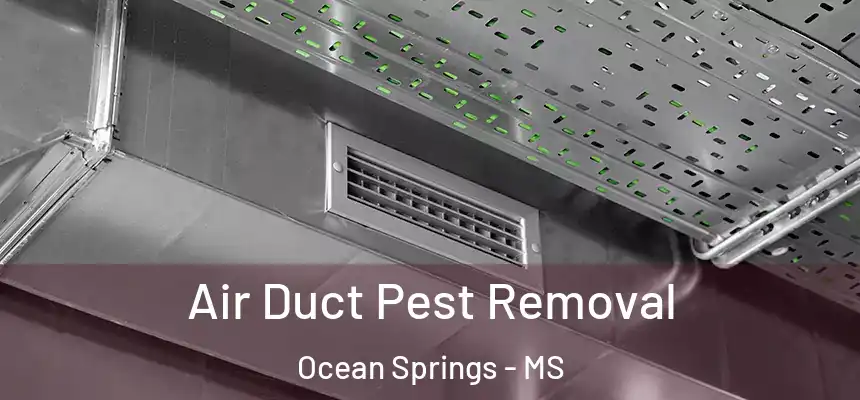  Air Duct Pest Removal Ocean Springs - MS
