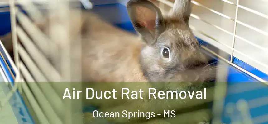 Air Duct Rat Removal Ocean Springs - MS
