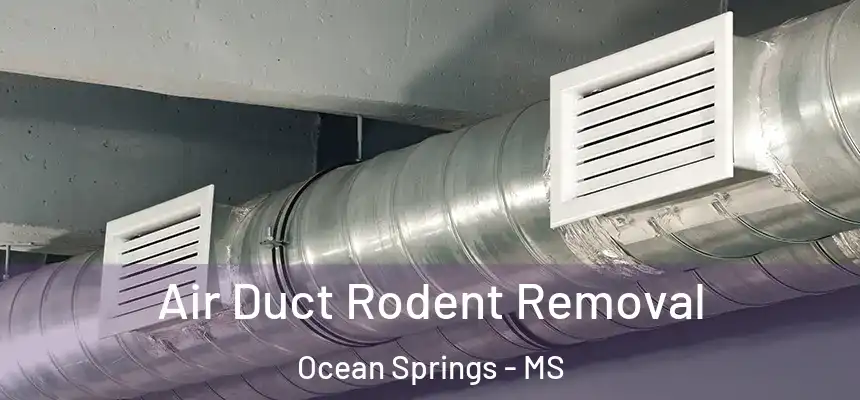 Air Duct Rodent Removal Ocean Springs - MS