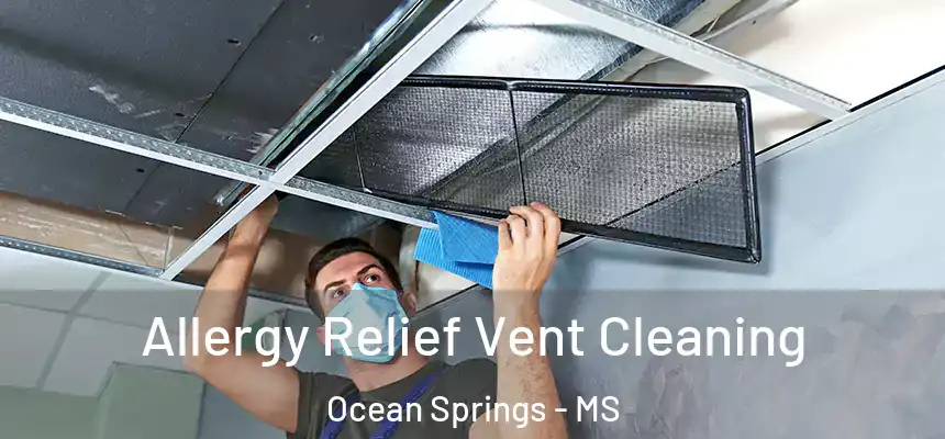 Allergy Relief Vent Cleaning Ocean Springs - MS