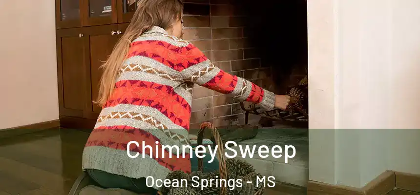 Chimney Sweep Ocean Springs - MS