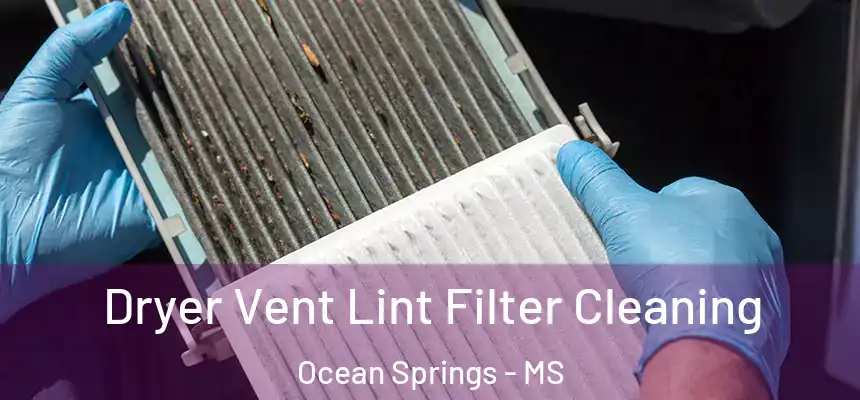Dryer Vent Lint Filter Cleaning Ocean Springs - MS