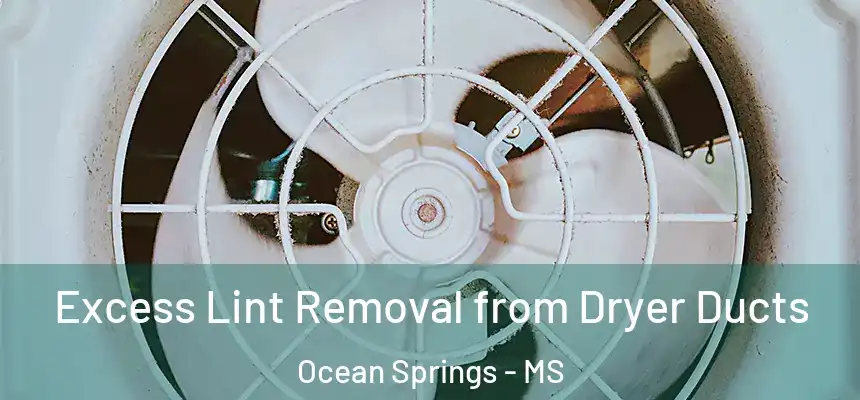 Excess Lint Removal from Dryer Ducts Ocean Springs - MS