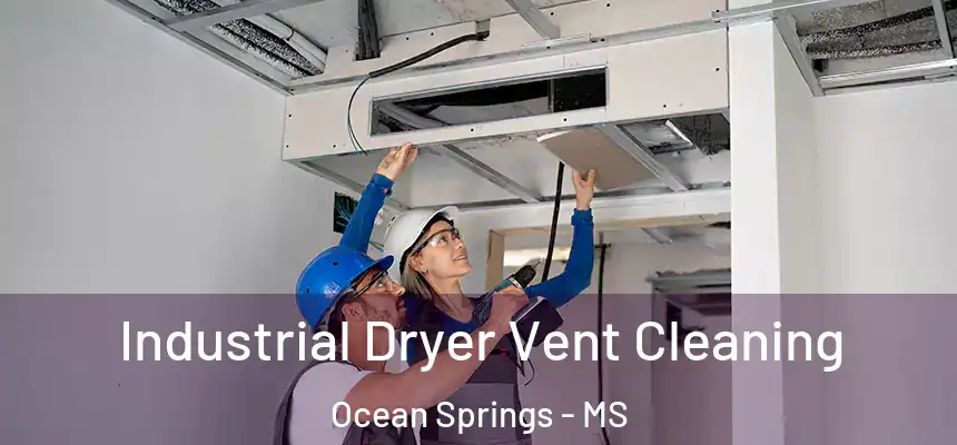  Industrial Dryer Vent Cleaning Ocean Springs - MS