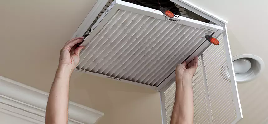Preventive Cockroach-Proofing for Ducts in Ocean Springs