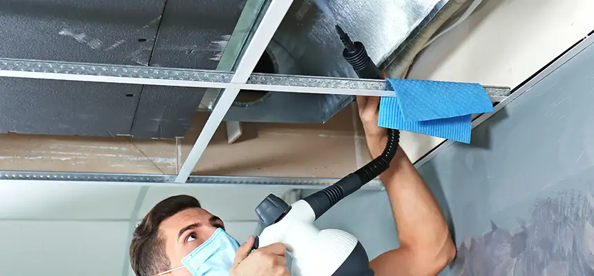 Our Air Duct Rodent Removal Services in Ocean Springs, MS