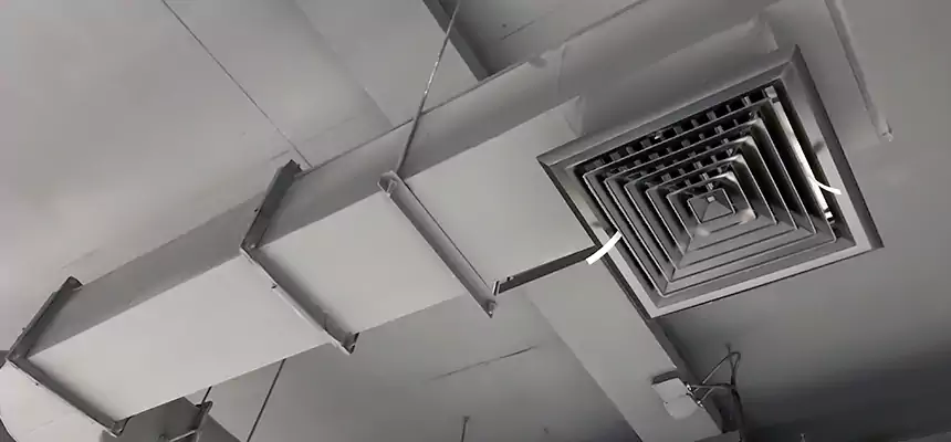 Our Pest Removal From Ducts Services in Ocean Springs, MS