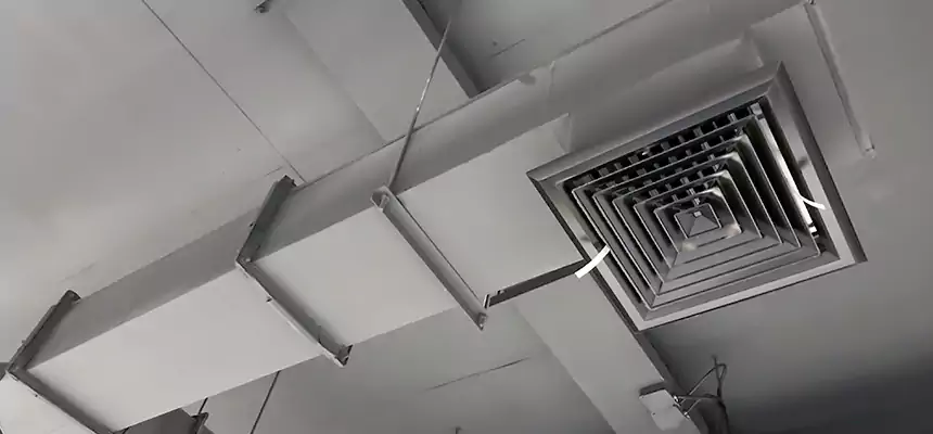 Our Rodent Droppings In Vents Services in Ocean Springs, MS