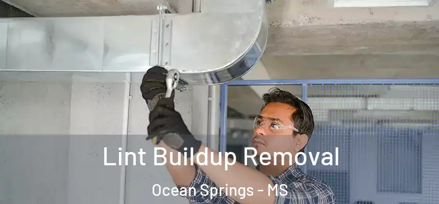 Lint Buildup Removal Ocean Springs - MS