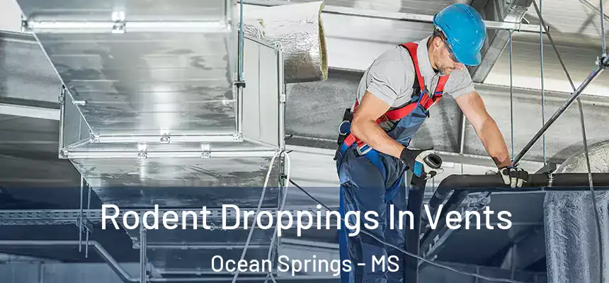  Rodent Droppings In Vents Ocean Springs - MS