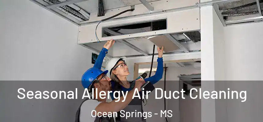  Seasonal Allergy Air Duct Cleaning Ocean Springs - MS
