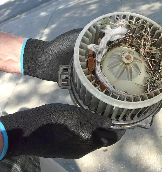 About Air Duct Mice Removal in Ocean Springs, MS