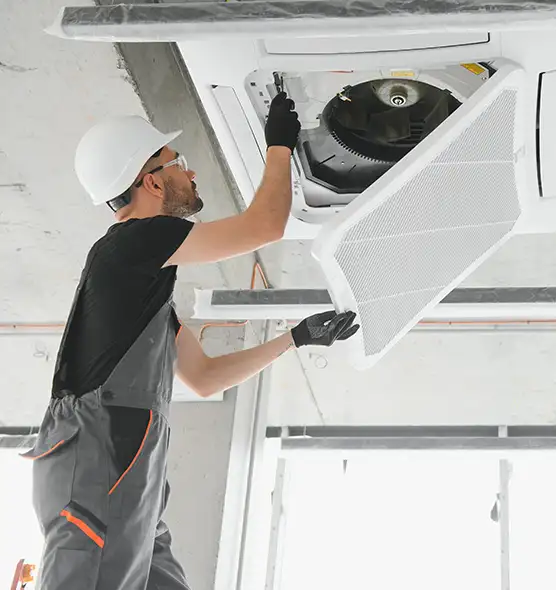 About Air Duct Rodent Removal in Ocean Springs, MS