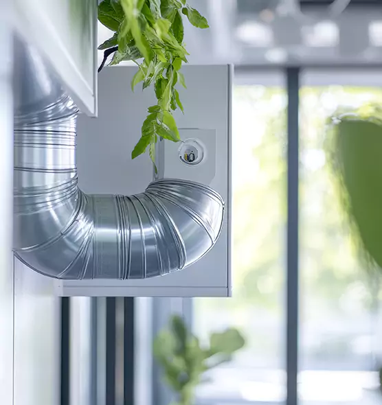 Professional Eco-Safe Dryer Vent Cleaning in Ocean Springs, MS