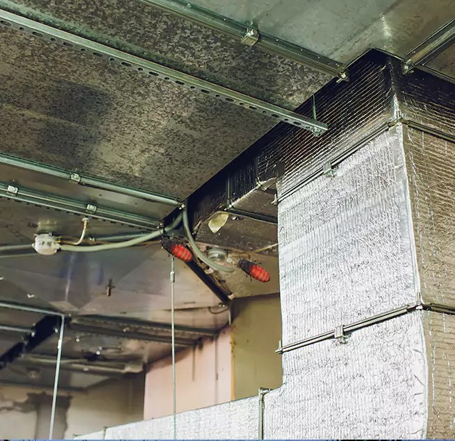 Why Homeowners & Businesses Trust Us in Ocean Springs, MS?