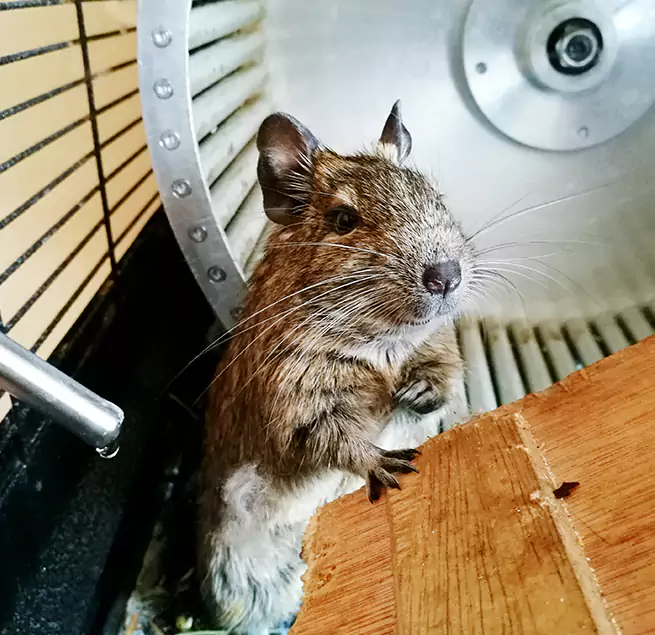 Why Homeowners & Businesses Trust Us Ocean Springs, MS