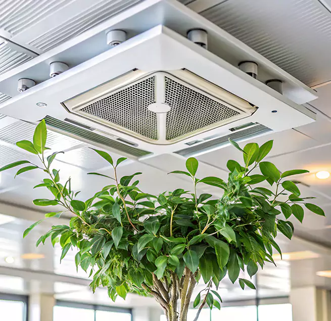 Why Homeowners & Businesses Trust Us in Ocean Springs, MS