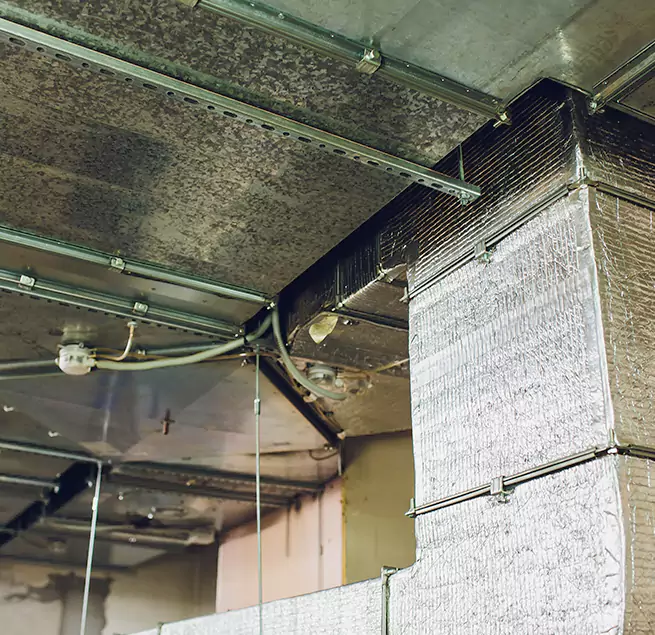 Why Homeowners & Businesses Trust Us in Ocean Springs, MS?