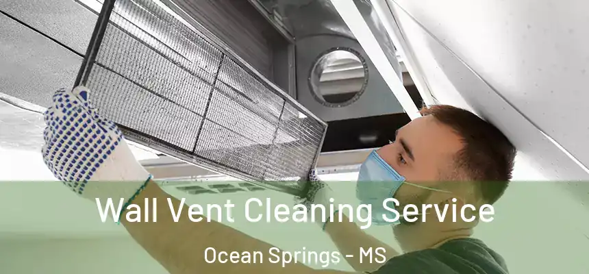 Wall Vent Cleaning Service Ocean Springs - MS
